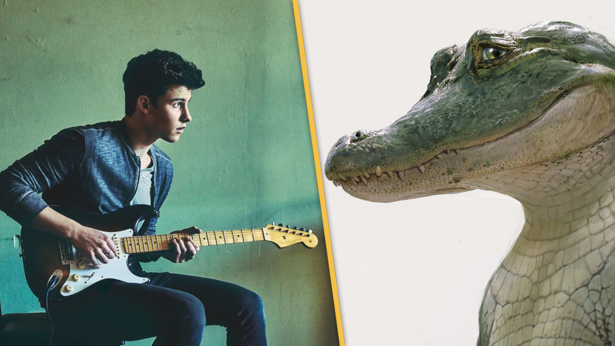  Shawn Mendes khoe giọng hát cực đỉnh trong “Lyle, Lyle, Crocodile” 