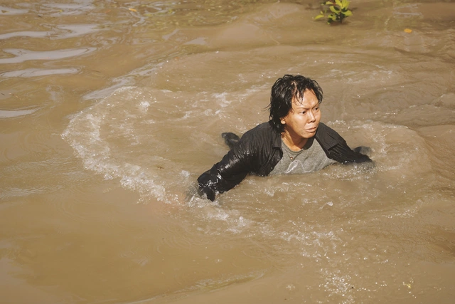 Mô tả hình