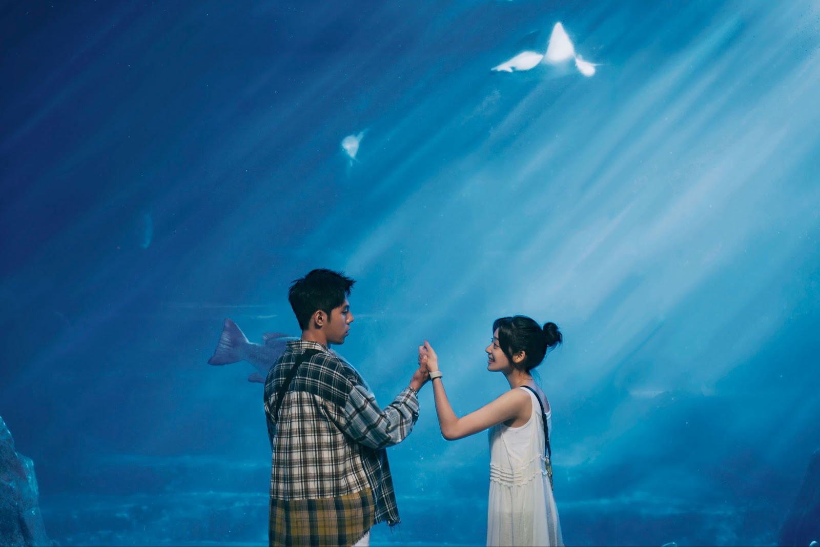 Mô tả hình