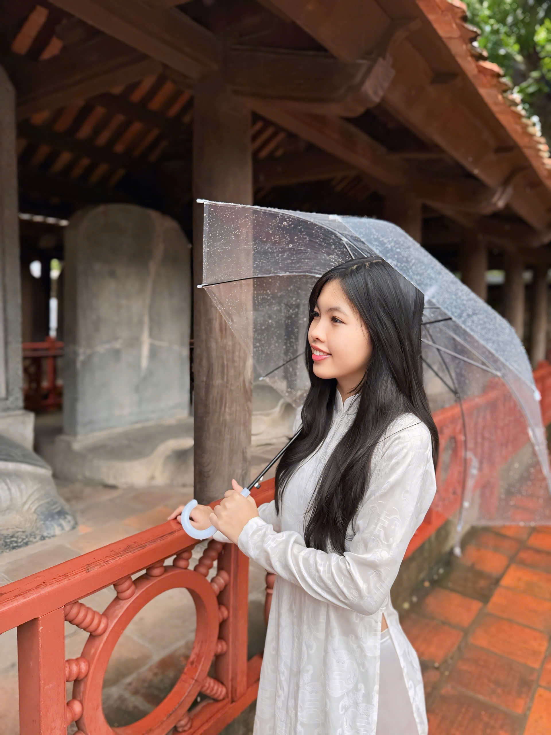 Mô tả hình
