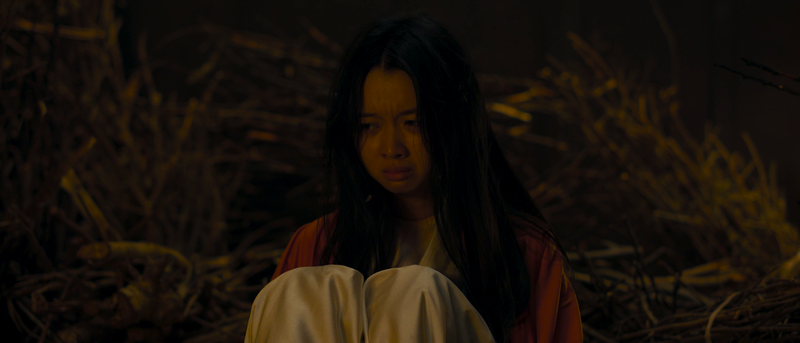 Mô tả hình