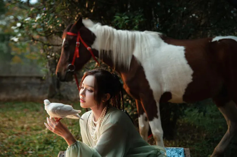 Mô tả hình