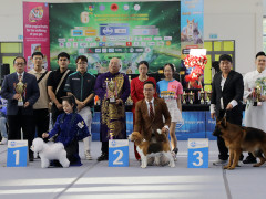 Dogshow Đà Nẵng 2025: Thí sinh đông bất ngờ