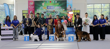 Dogshow Đà Nẵng 2025: Thí sinh đông bất ngờ